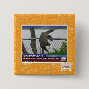 Excaping Schildkröte Button