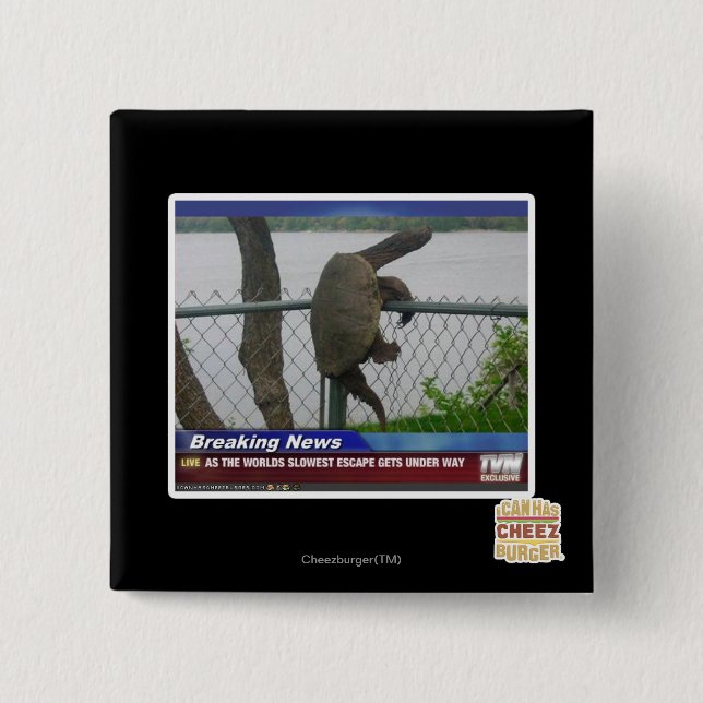 Excaping Schildkröte Button (Vorderseite)