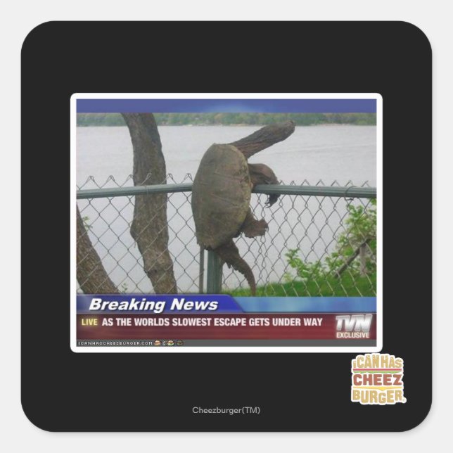 Excaping Schildkröte Quadratischer Aufkleber (Vorderseite)