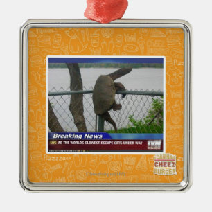 Excaping Schildkröte Silbernes Ornament