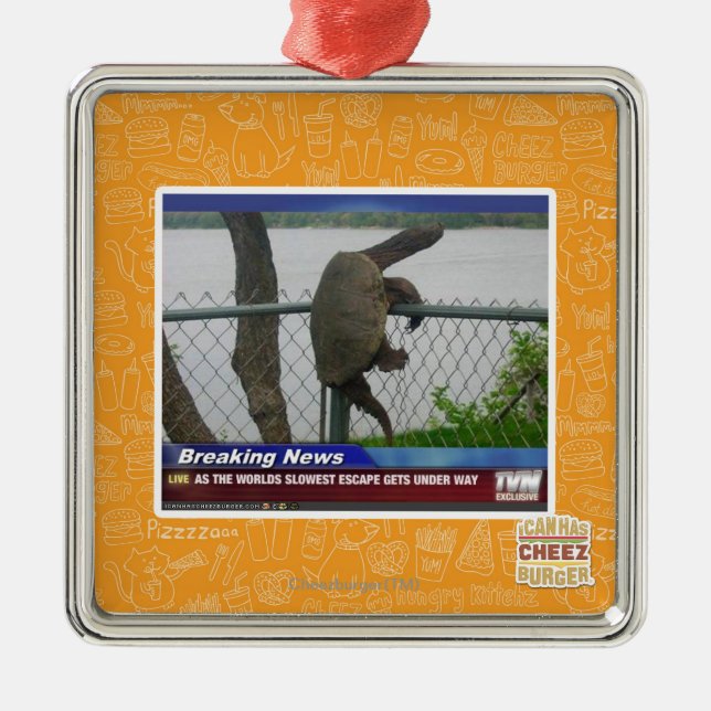 Excaping Schildkröte Silbernes Ornament (Vorne)