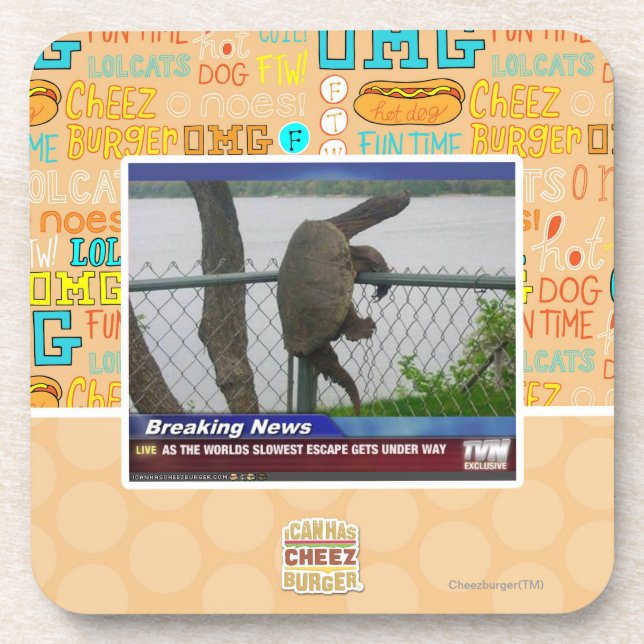 Excaping Schildkröte Untersetzer (Vorderseite)