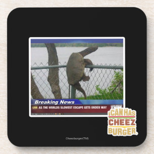 Excaping Schildkröte Untersetzer