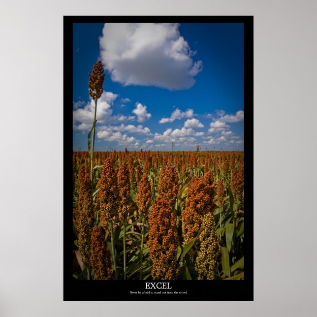 Excel Poster (Vorne)