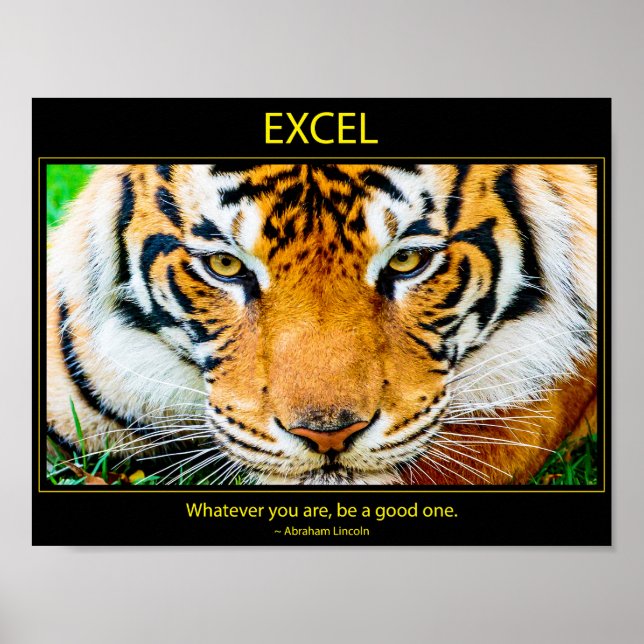 Excel Poster (Vorne)