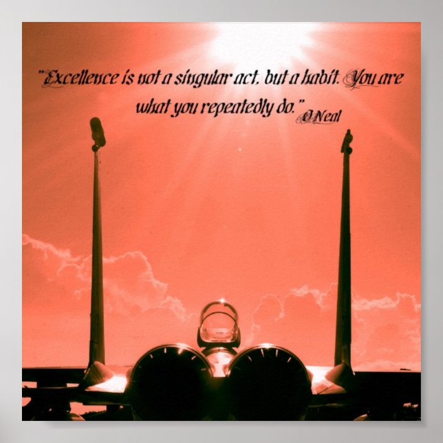 “Excellence is not a singular act, but a habit. Yo Poster (Vorne)