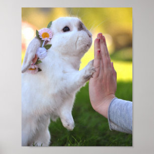 Exempel das Häschenplakat Poster