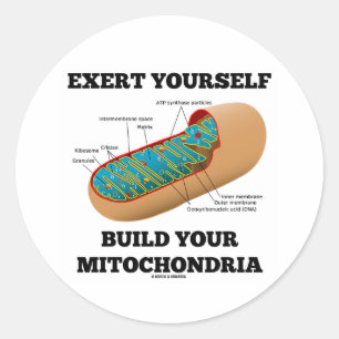 Exert Sie selbst bauen Ihre Mitochondrie Runder Aufkleber