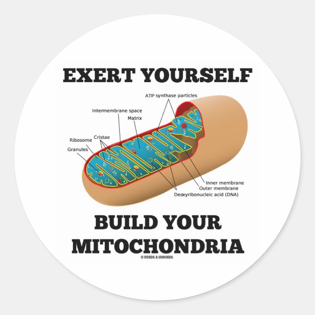 Exert Sie selbst bauen Ihre Mitochondrie Runder Aufkleber (Vorderseite)