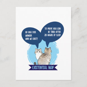Existentielles Nickerchen Lustige Katze Schlaf Hum Postkarte