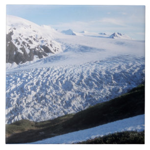 Exit Glacier in Kenai Fjords National Park Fliese