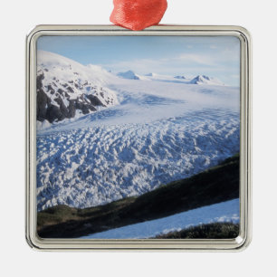Exit-Gletscher im Kenai-Fjords-Nationalpark, Silbernes Ornament