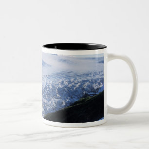 Exit-Gletscher im Kenai-Fjords-Nationalpark, Zweifarbige Tasse