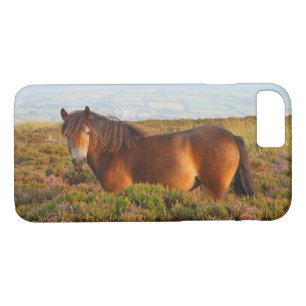 Exmoon Pony, Pferd, Somerset, England Case-Mate iPhone Hülle