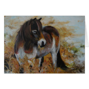 Exmoor Pony