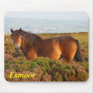 Exmoor-Pony, Pferd, Somerset, England Mousepad