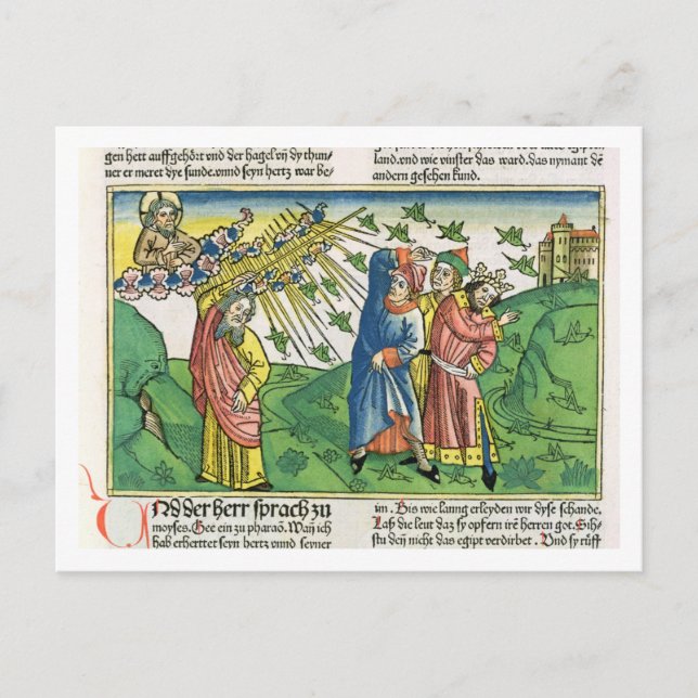 Exodus 10:1-20 Die sieben Pest Ägyptens: der Plan Postkarte (Vorderseite)