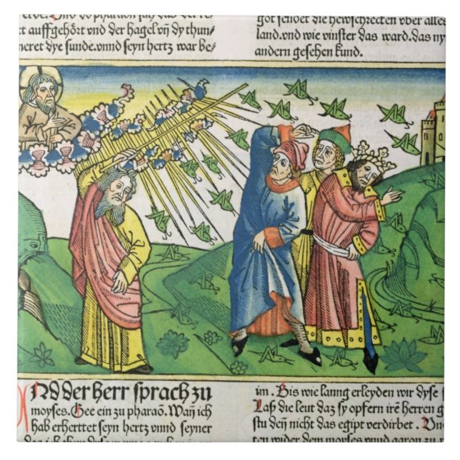 Exodus-10:1 - 20 die sieben Pest von Ägypten: der Fliese (Vorderseite)