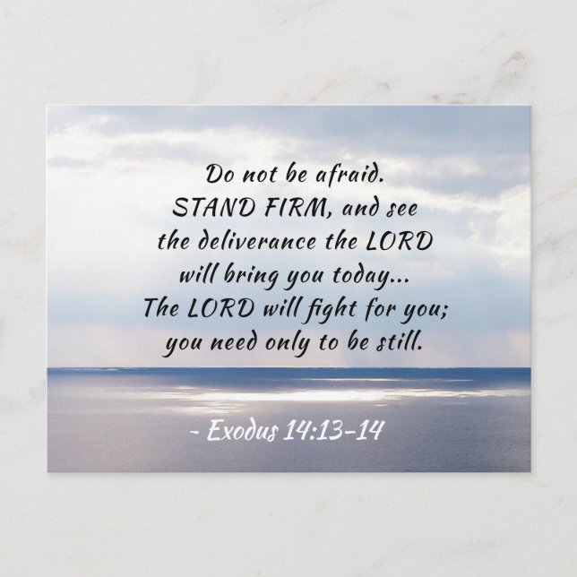 Exodus 14:13-14 Keine Angst STAND FIRM Postkarte (Vorderseite)