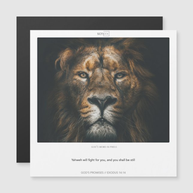 Exodus 14:14 WAREN VERSPRECHEN SCRIPIX-Magnetkarte Magneteinladung (Vorne/Hinten)