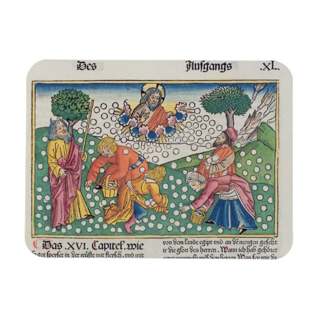 Exodus 16 13-22 Gott versorgt die Wachteln und Man Magnet (Horizontal)