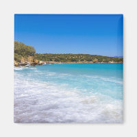 Exotic Beach Tropical Island Paradise