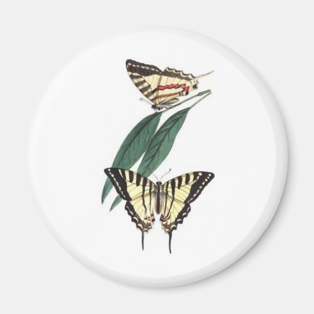 Exotic Bird Kühlschrankmagnet Magnet (Vorne)