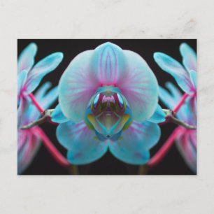 Exotic Blue Orchid Reflection Postkarte