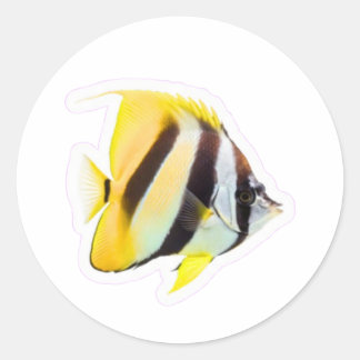 Exotic Butterfly Fish - Vibrant Coral Reef Beauty  Runder Aufkleber