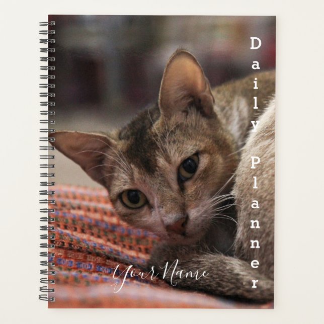 Exotic Cat - Daily Planner - HAMbWG Planer (Vorderseite)
