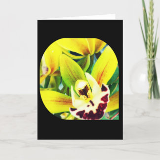 Exotic Cymbidium Orchid Blank Grußkarte Karte