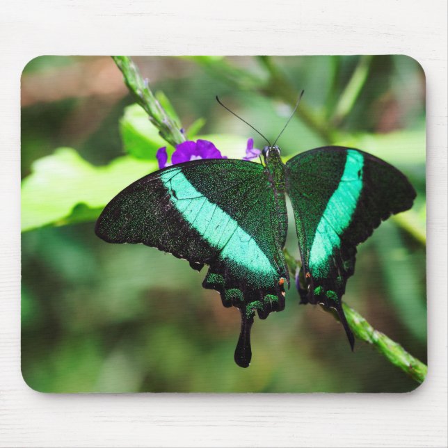 Exotic Emerald Frack Mousepad (Vorne)