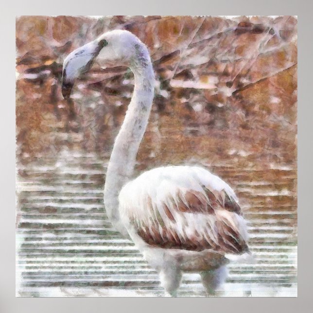 Exotic Flamingo Poster (Vorne)