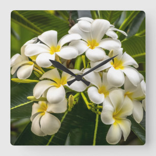 Exotic Island Plumeria Clock Quadratische Wanduhr