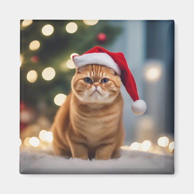 Exotic Kurzweihnachtsfest Magnet (Vorne)