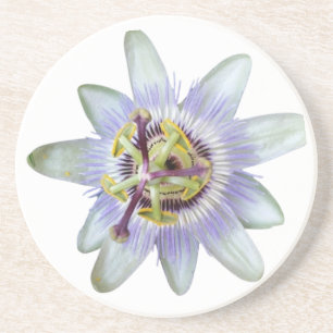 Exotic Lila Passion Blume Sandstone Untersetzer
