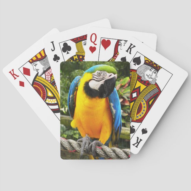 Exotic Macaw Parrot Playing Cards Spielkarten (Rückseite)