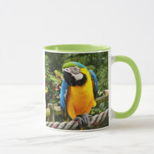 Exotic Macaw Parrot Tasse