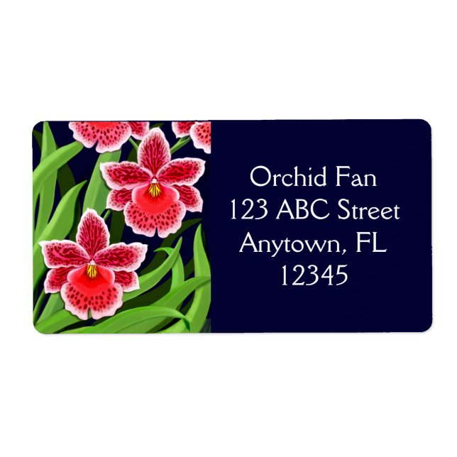 Exotic Odontoglossum Orchius Label (Vorne)