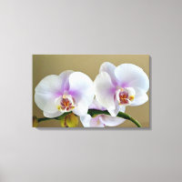 Exotic Orchid Fotografie über Leinwand Art