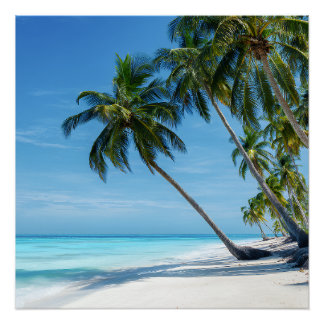 Exotic Palm Beach Turquoise Water Sunny Paradise Poster