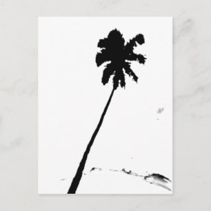Exotic Palm Tree Postkarte