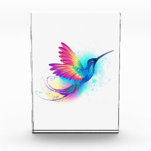 Exotic Rainbow Hummingbird Fotoblock