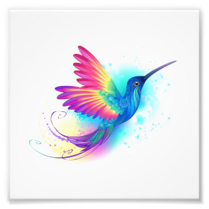 Exotic Rainbow Hummingbird Fotodruck