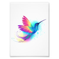 Exotic Rainbow Hummingbird