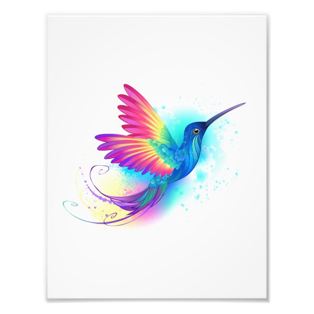 Exotic Rainbow Hummingbird Fotodruck (Vorne)