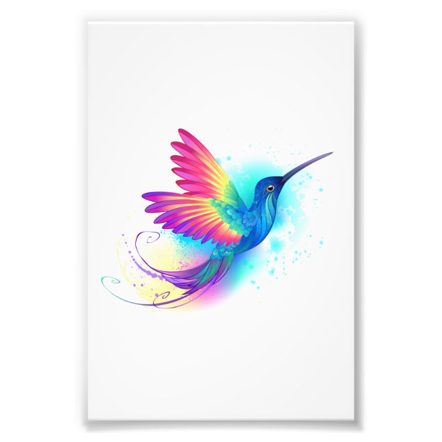 Exotic Rainbow Hummingbird Fotodruck (Vorne)