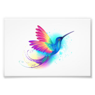 Exotic Rainbow Hummingbird Fotodruck