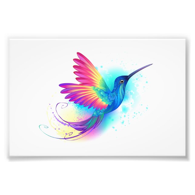 Exotic Rainbow Hummingbird Fotodruck (Vorne)