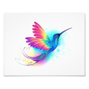 Exotic Rainbow Hummingbird Fotodruck
